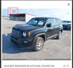 جيب رينيجيد